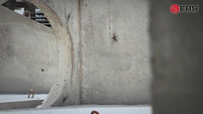 混凝土制品喷码 图4
